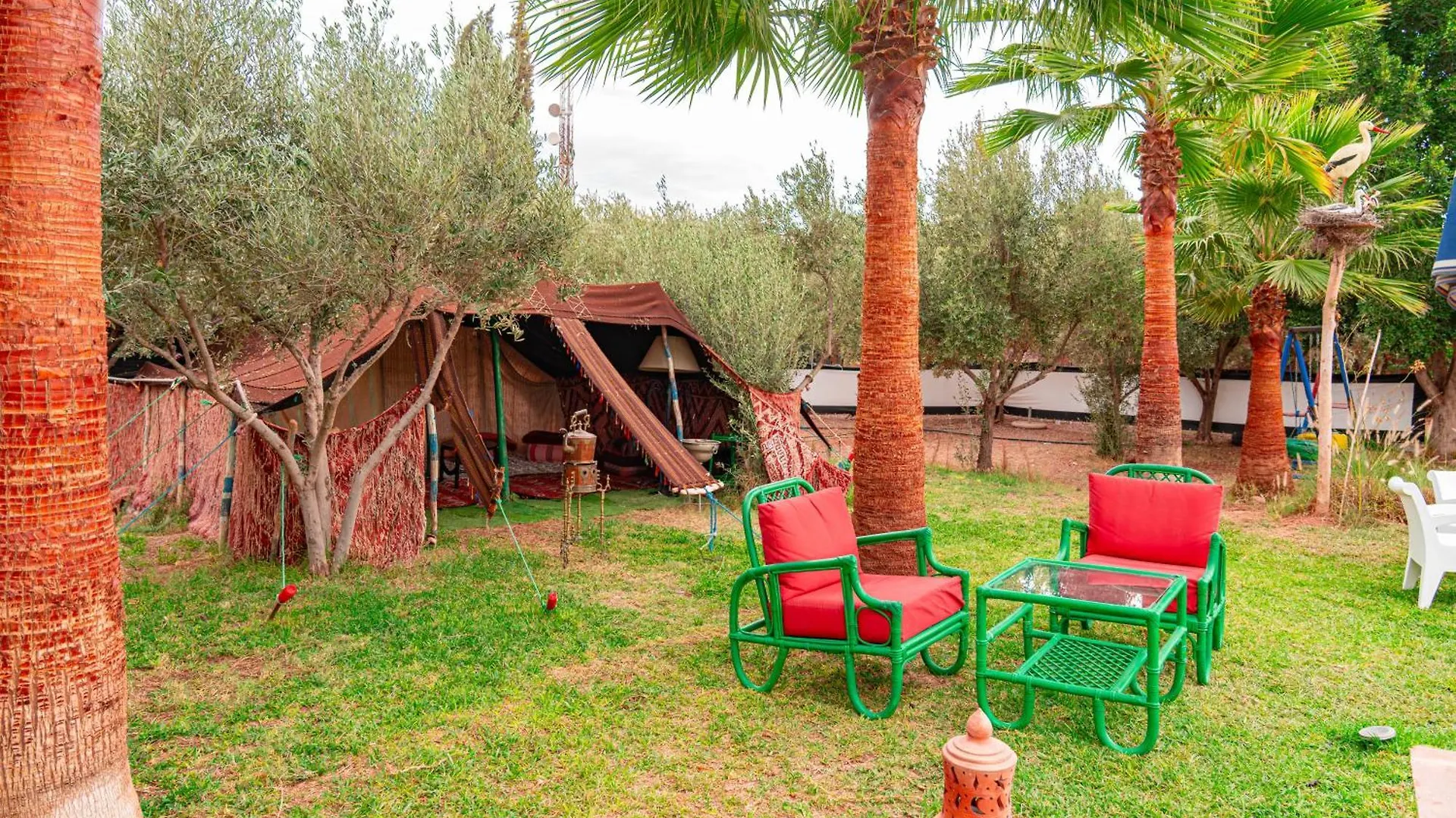Tente Berbere مراكش